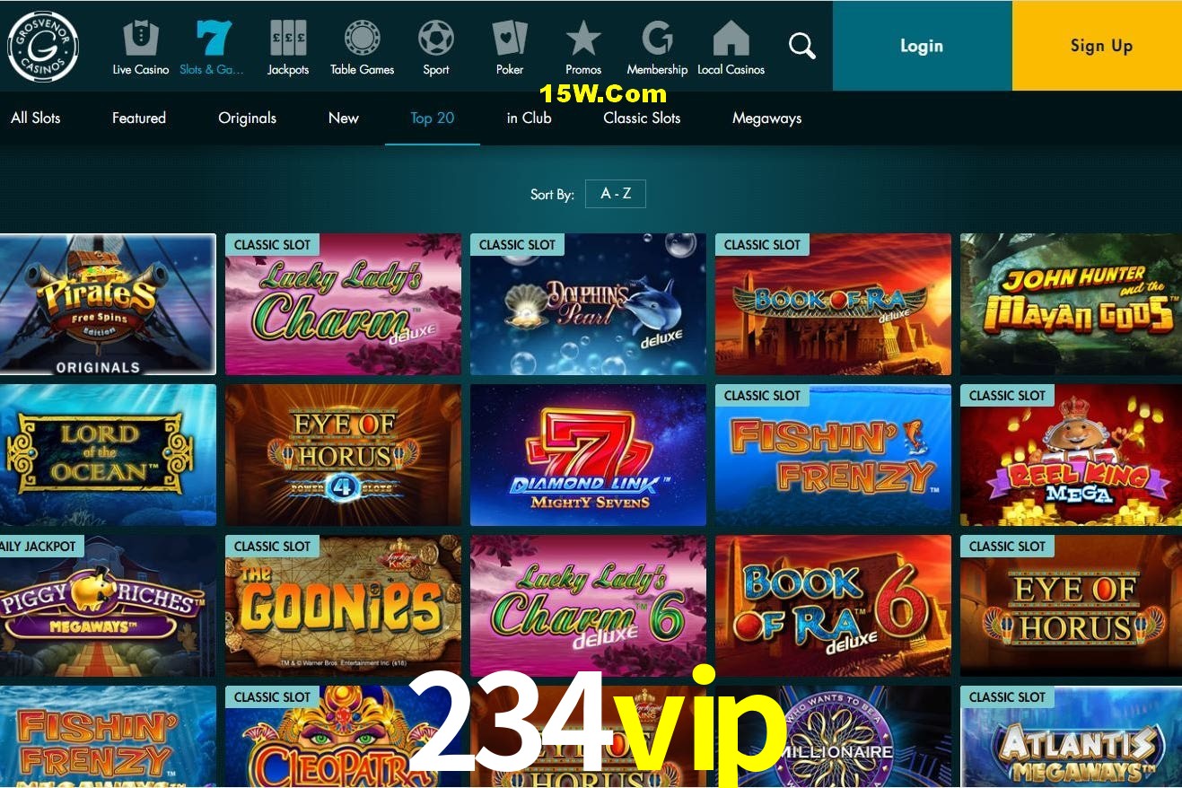 Statistics 234vip